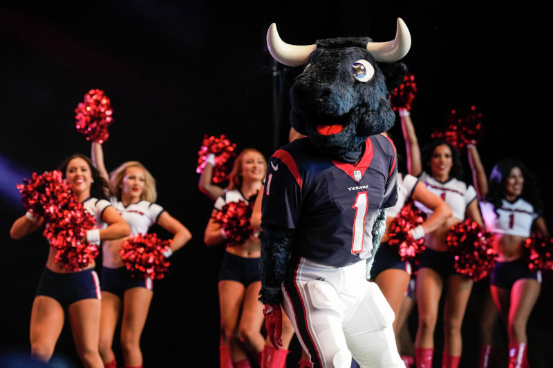 Texans Mascot Toro