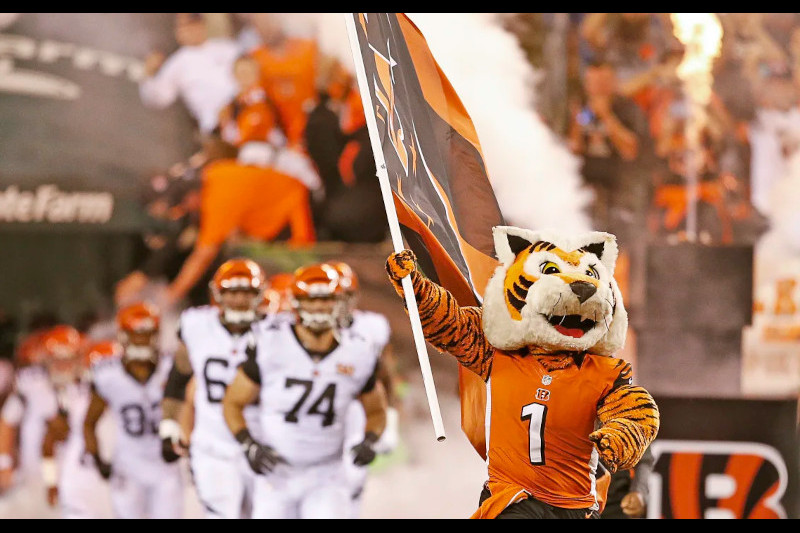 Who Dey Bengals mascot