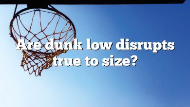 Are dunk low disrupts true to size?