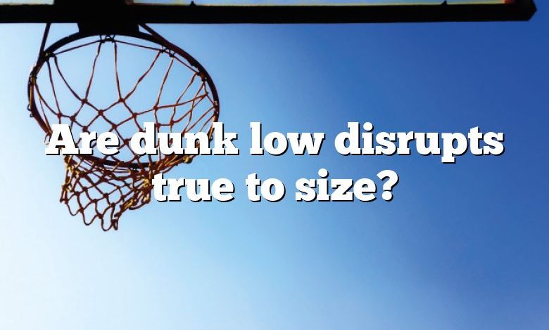 Are dunk low disrupts true to size?