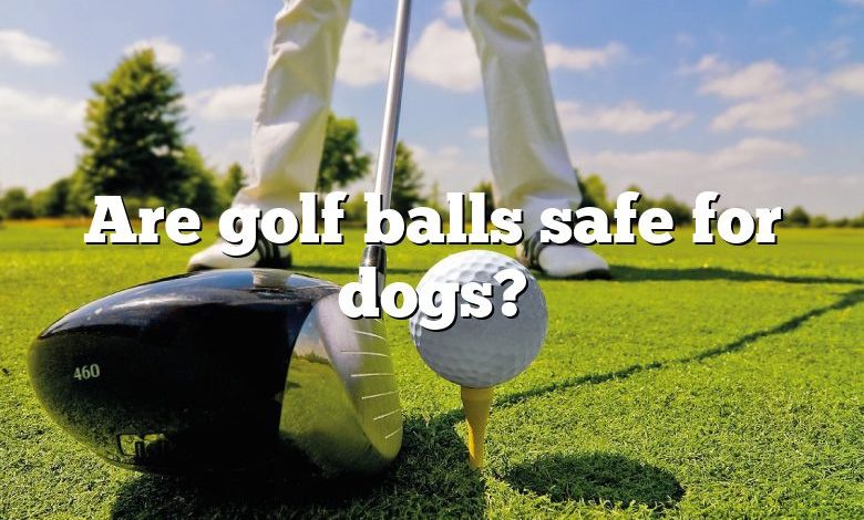 Are golf balls safe for dogs?