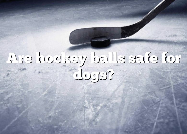 are-hockey-balls-safe-for-dogs-dna-of-sports