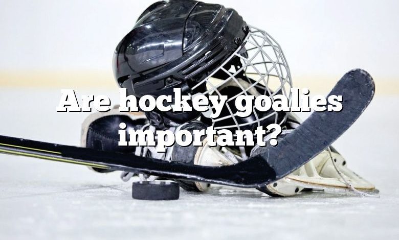 Are hockey goalies important?