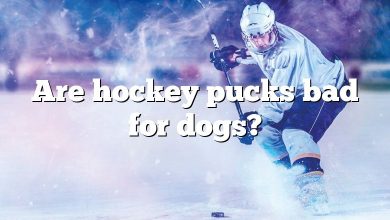 Are hockey pucks bad for dogs?