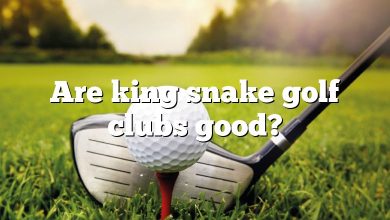 Are king snake golf clubs good?