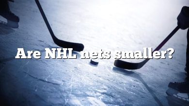 Are NHL nets smaller?