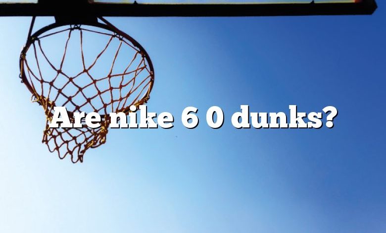 Are nike 6 0 dunks?