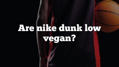 Are nike dunk low vegan?