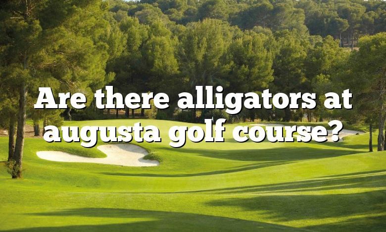 Are there alligators at augusta golf course?