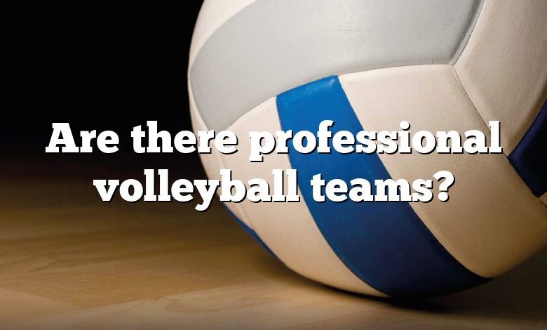 Are there professional volleyball teams?