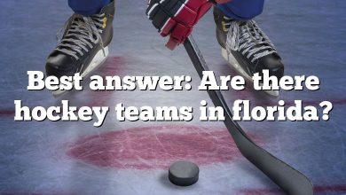 Best answer: Are there hockey teams in florida?