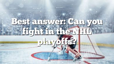 Best answer: Can you fight in the NHL playoffs?