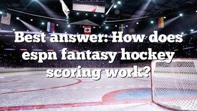 Best answer: How does espn fantasy hockey scoring work?