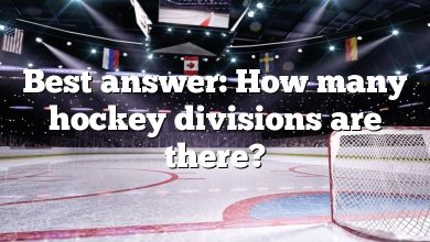 Best answer: How many hockey divisions are there?