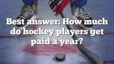 Best answer: How much do hockey players get paid a year?