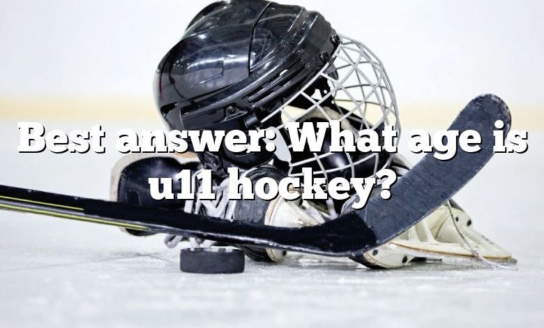 Best answer: What age is u11 hockey?