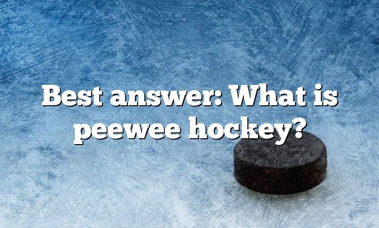 Best answer: What is peewee hockey?