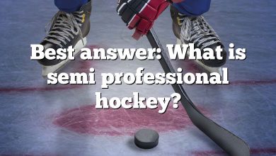 Best answer: What is semi professional hockey?