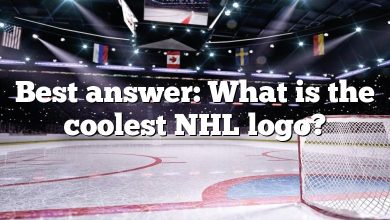 Best answer: What is the coolest NHL logo?