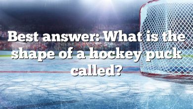 Best answer: What is the shape of a hockey puck called?