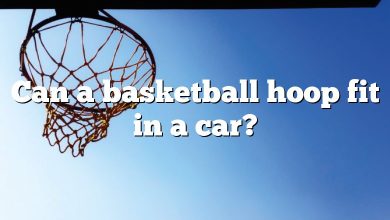 Can a basketball hoop fit in a car?