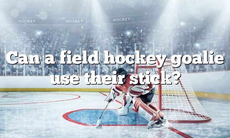 Can a field hockey goalie use their stick?