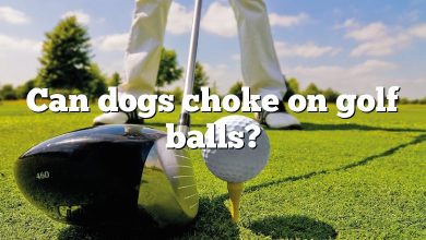 Can dogs choke on golf balls?