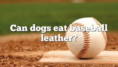 Can dogs eat baseball leather?