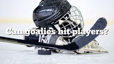 Can goalies hit players?