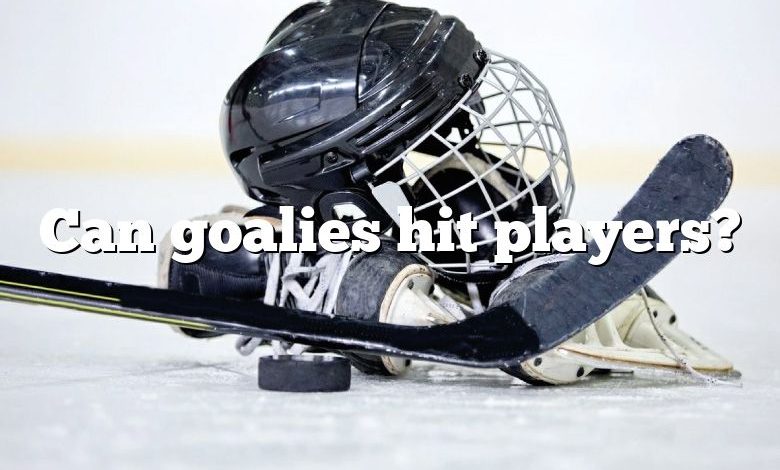 Can goalies hit players?