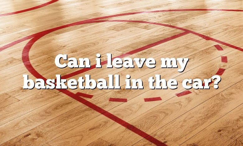 Can i leave my basketball in the car?