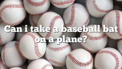 Can i take a baseball bat on a plane?