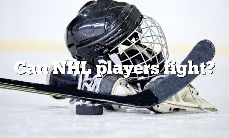 Can NHL players fight?