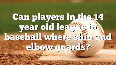 Can players in the 14 year old league in baseball where shin and elbow guards?