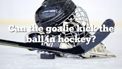 Can the goalie kick the ball in hockey?