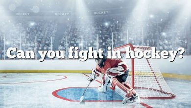 Can you fight in hockey?