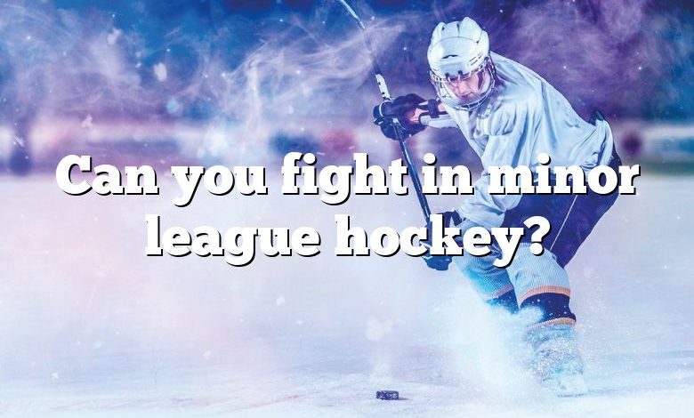 Can you fight in minor league hockey?