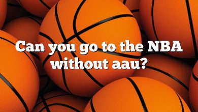 Can you go to the NBA without aau?