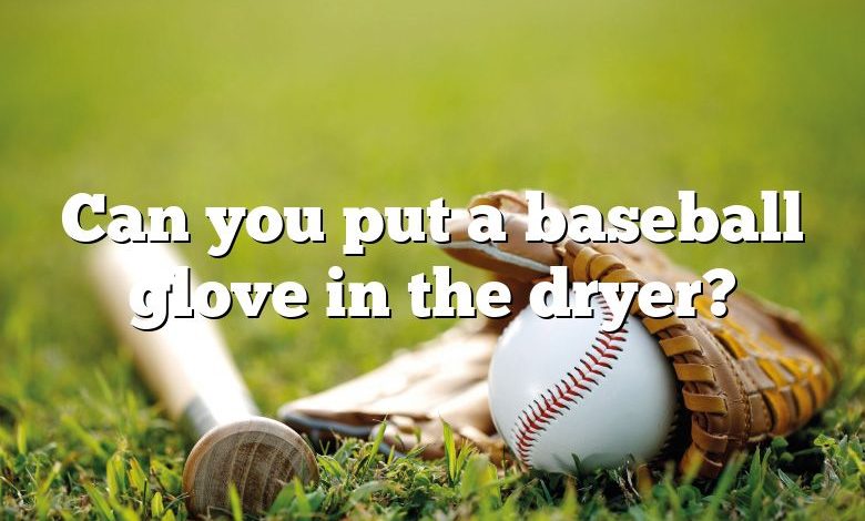 Can you put a baseball glove in the dryer?