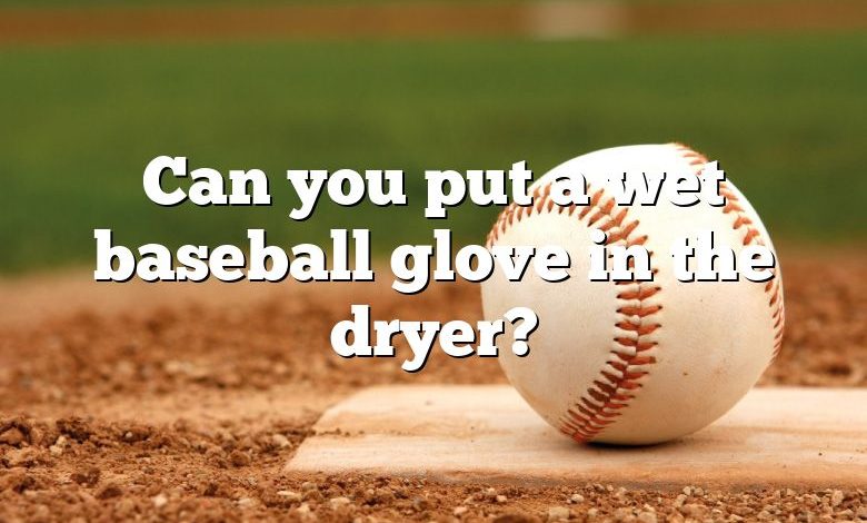 Can you put a wet baseball glove in the dryer?