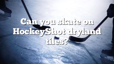 Can you skate on HockeyShot dryland tiles?