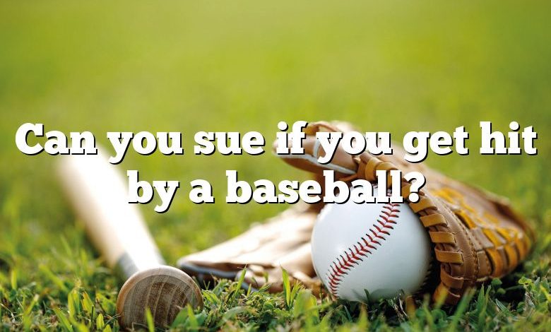 Can you sue if you get hit by a baseball?