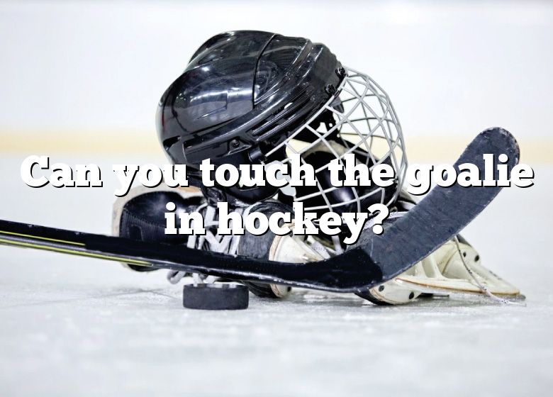 can-you-touch-the-goalie-in-hockey-dna-of-sports