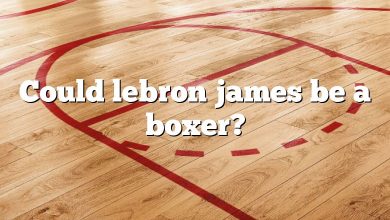 Could lebron james be a boxer?