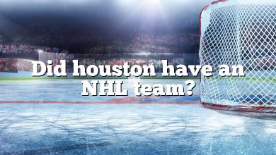 Did houston have an NHL team?