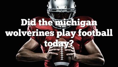 Did the michigan wolverines play football today?