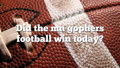 Did the mn gophers football win today?