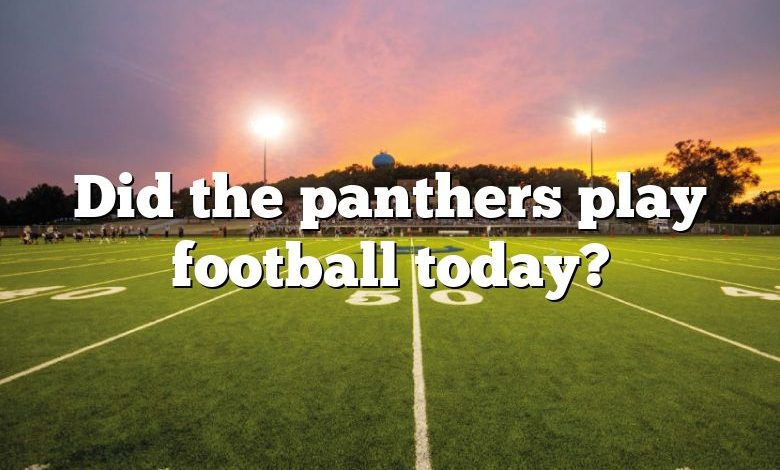 Did the panthers play football today?