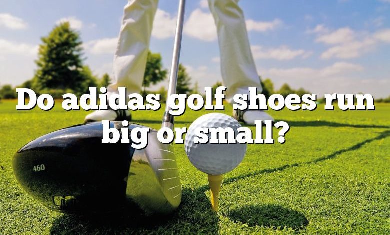 Do adidas golf shoes run big or small?