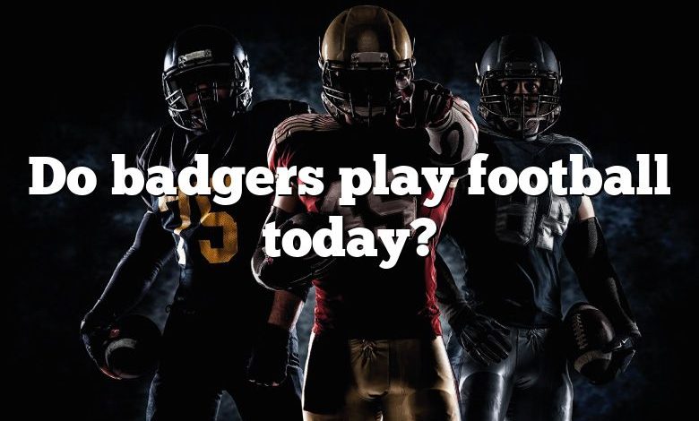 Do badgers play football today?